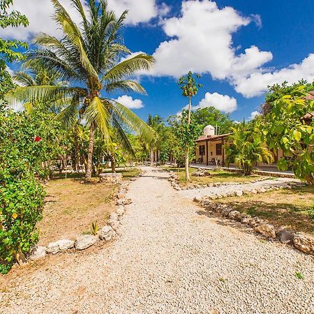 Posada Palmar Bacalar Εξωτερικό φωτογραφία
